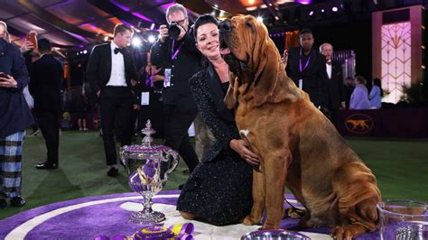 what chanel is the westminister dog show on with rogers|westminster dog show 2023 tv schedule.